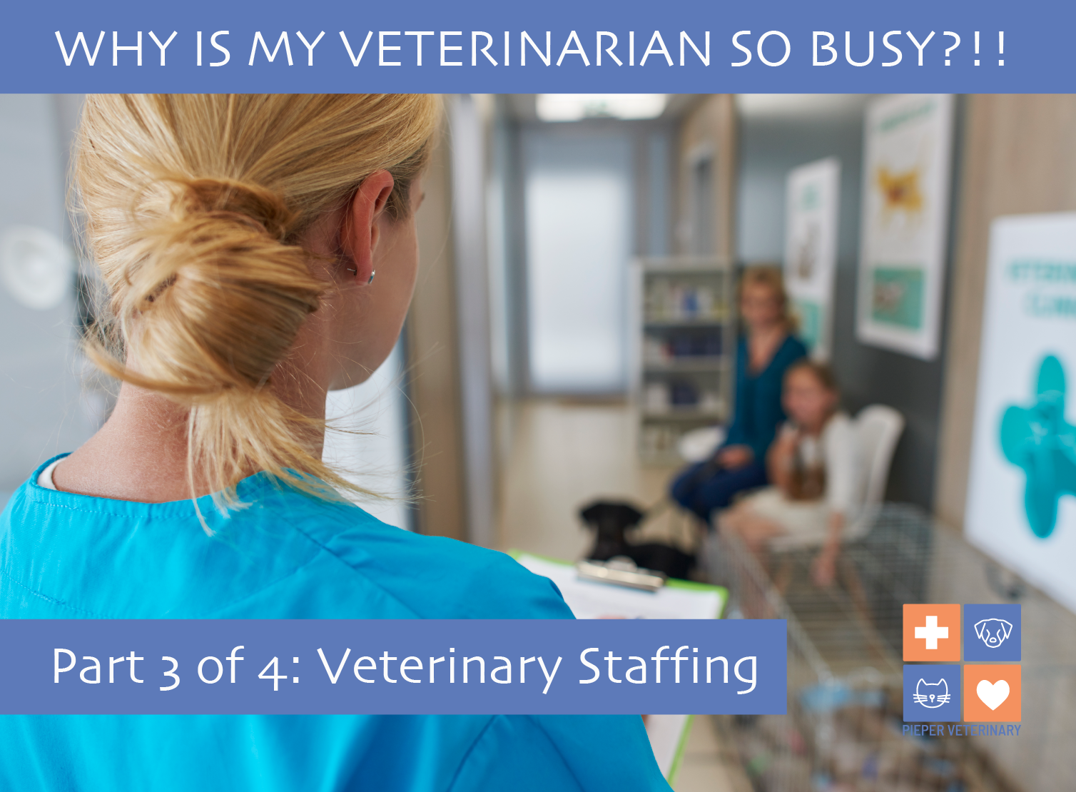 Busy Vet Images 04