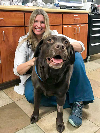 dog at Pieper emergency animal hospital