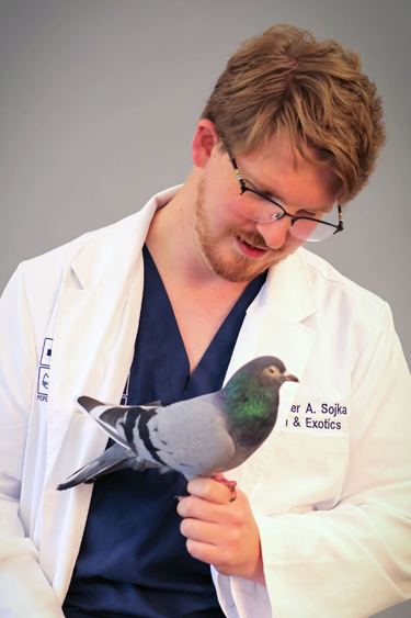 home visit bird vet