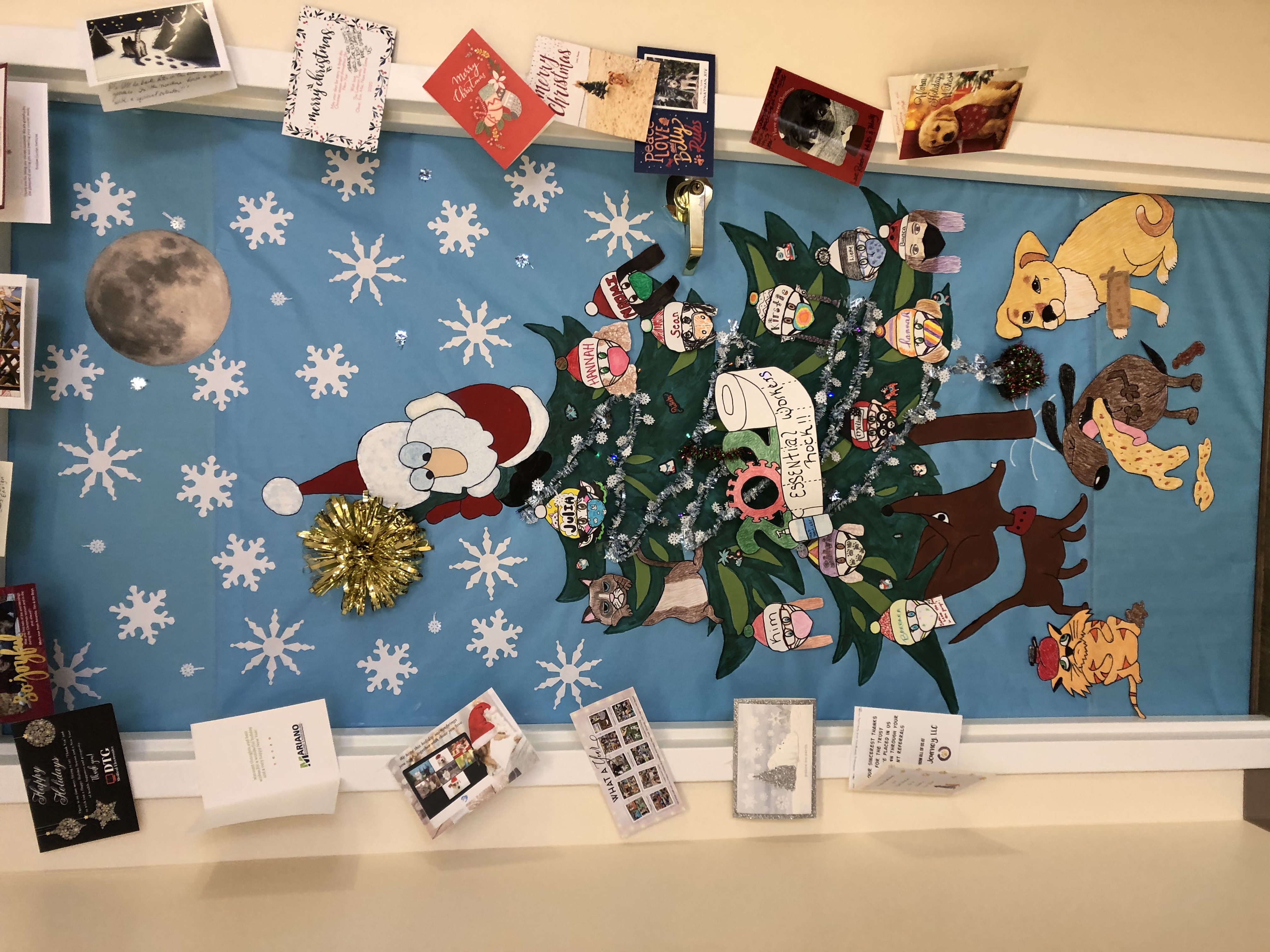 HolidayRaffle Pieper Veterinary