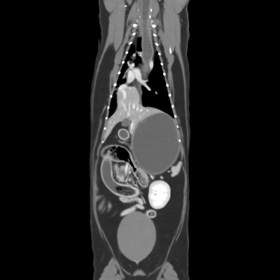 Animal CT Scan FAQs | Pieper Veterinary