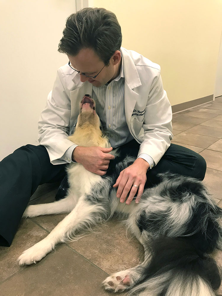 Veterinary neurologist with two dogs at Pieper Veterinary